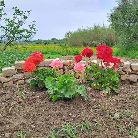 Corfu House 公寓 *