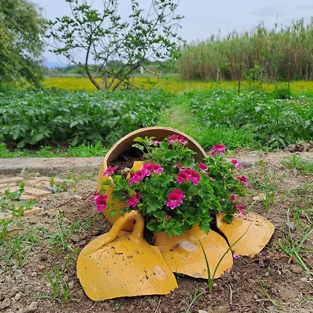 Corfu House * 卡诺尼