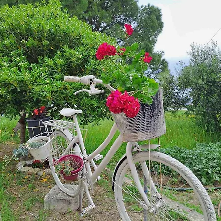 公寓 Corfu House 卡诺尼