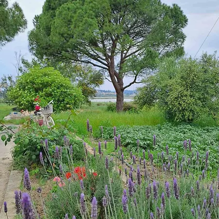 公寓 Corfu House *